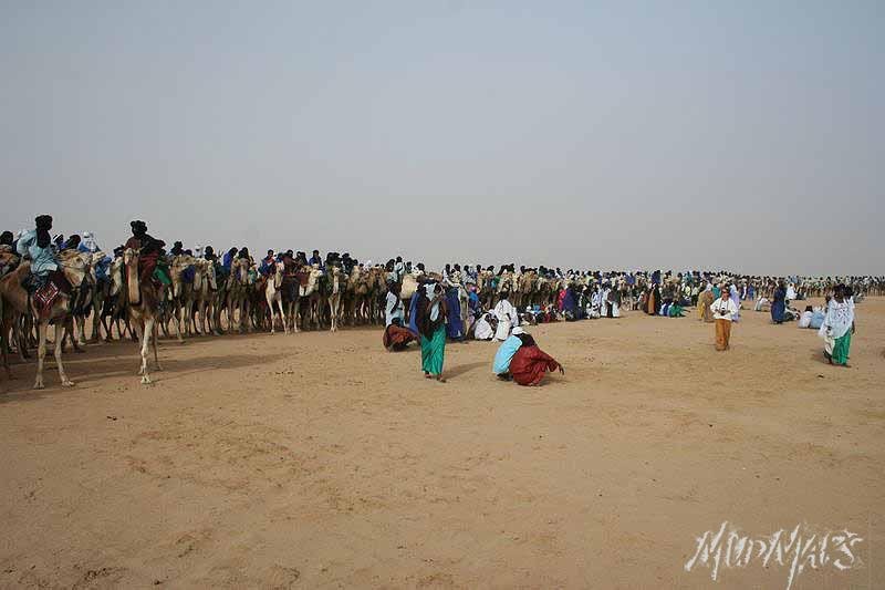 Mud Maps Africa Gaddafi camel party 3391